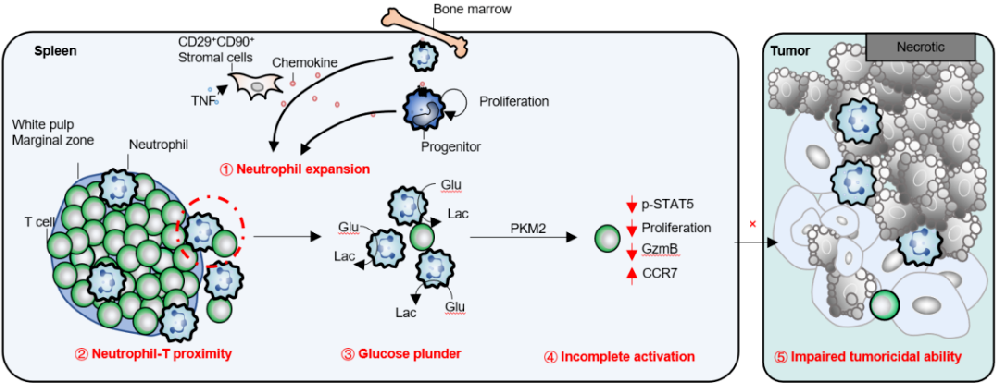 1692237410307726.png 1.png